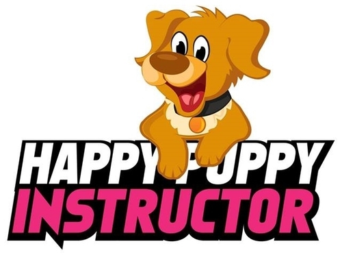 Happy Instructor Logo
