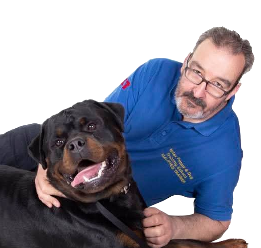 Notley Dog Training services